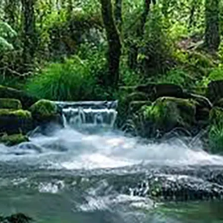 Area Playa Viveiro , Xove * Jove